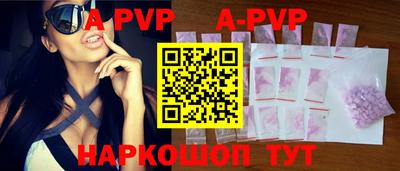 гашик Будённовск