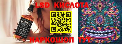 гашик Будённовск