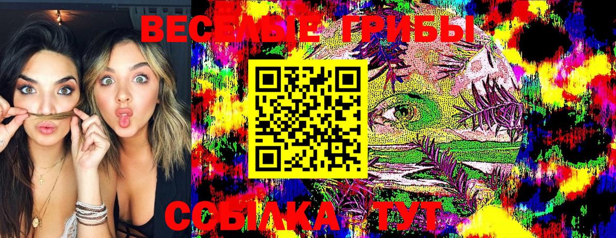 Псилоцибиновые грибы GOLDEN TEACHER  Вход с VPN  Псилоцибиновые грибы GOLDEN TEACHER  Ростов-на-Дону 