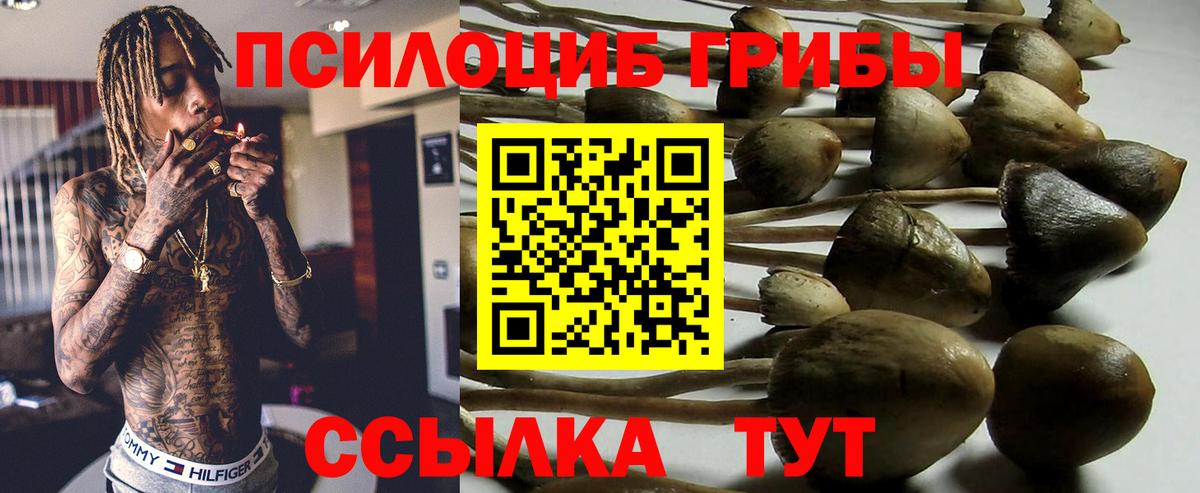 Галлюциногенные грибы прущие грибы Ростов-на-Дону